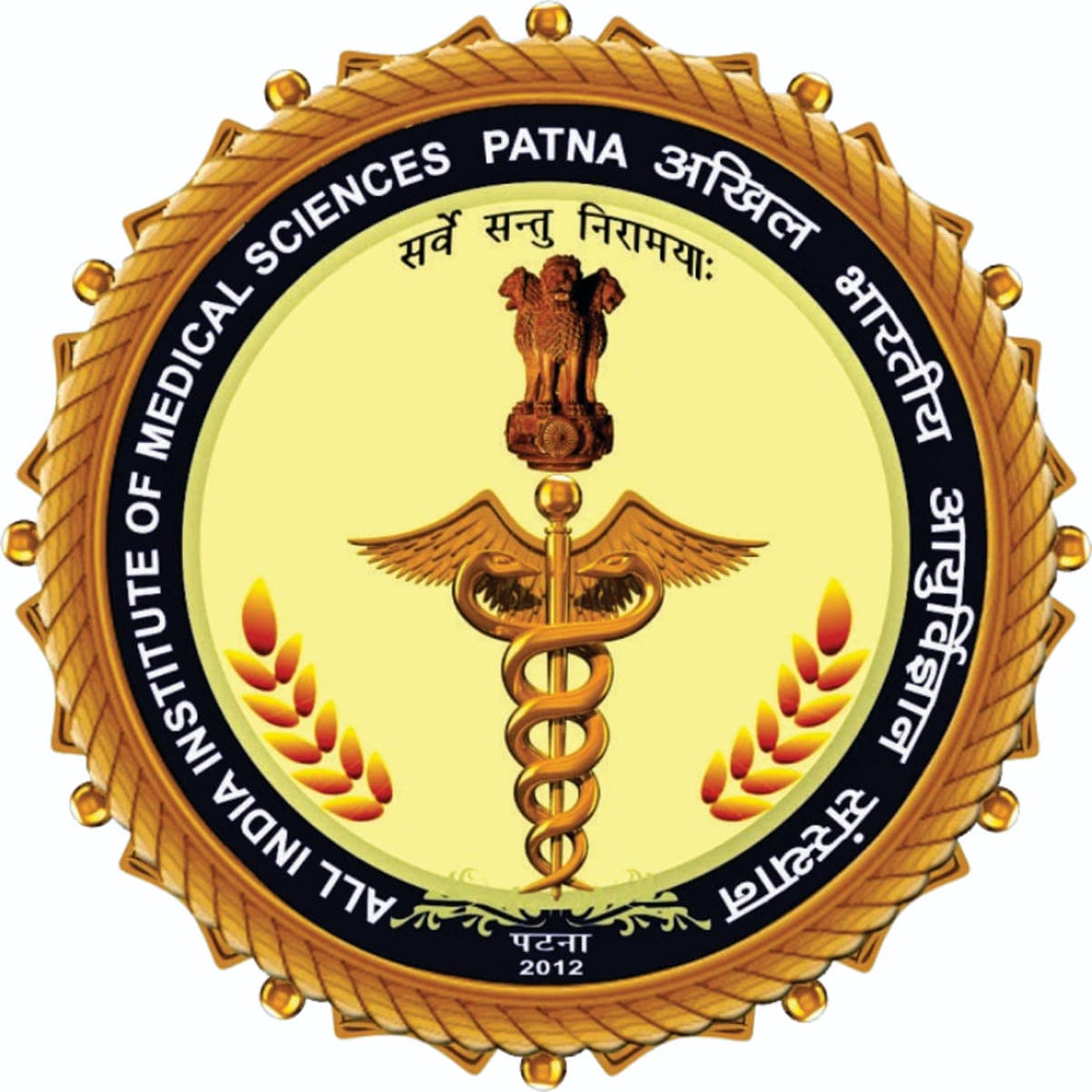 All India Institute of Medical Sciences Patna (AIIMS Patna)